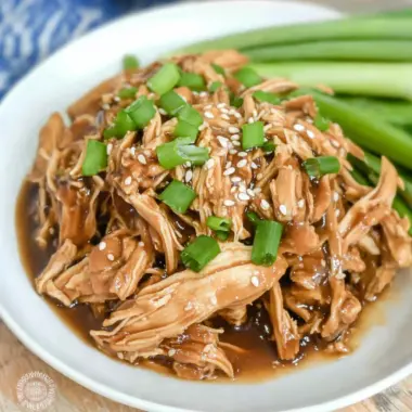 Keto Shredded Crock Pot Teriyaki Chicken