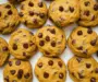 Old Fashioned Pumpkin Chocolate Chip Cookies