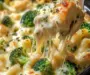 Chicken and Broccoli Alfredo Bake