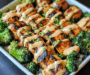 Grilled Chicken & Broccoli Bowls With Creamy Garlic Sauce Delight Your Taste Buds!